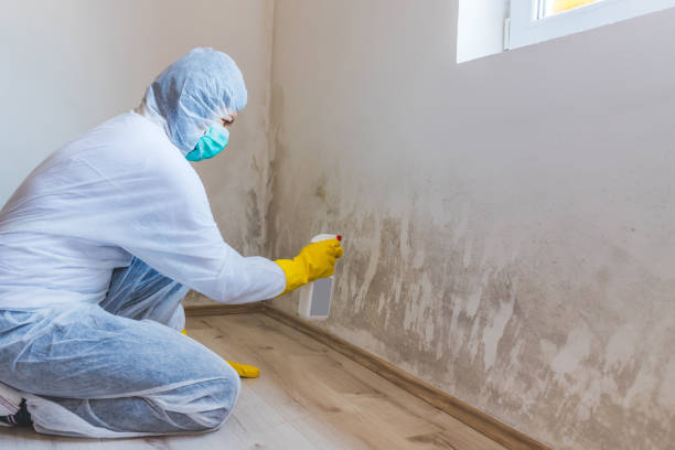 Licensed Crawl Space Mold Removal service in Sugar Land, TX - WQB Mold Removal