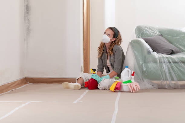 Reliable Crawl Space Mold Removal contractor in Sugar Land, TX by WQB Mold Removal
